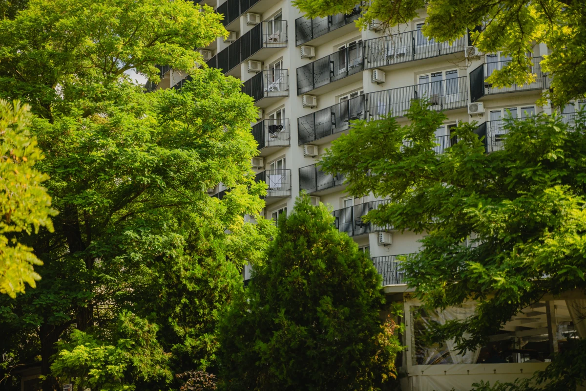Révolution verte : Les normes de construction éco-responsables transforment le paysage immobilier